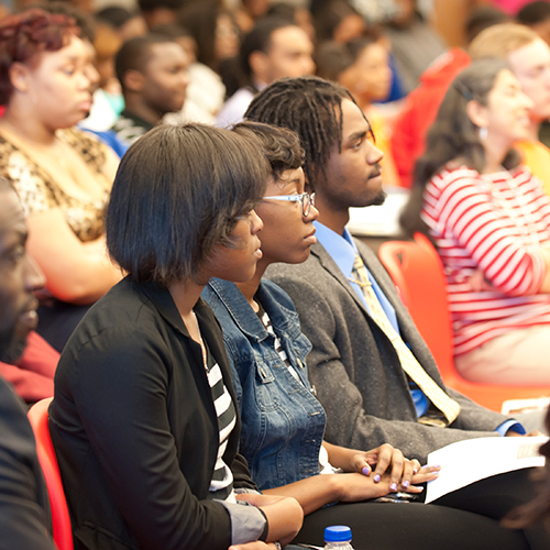 CITI Faculty Fellow Program